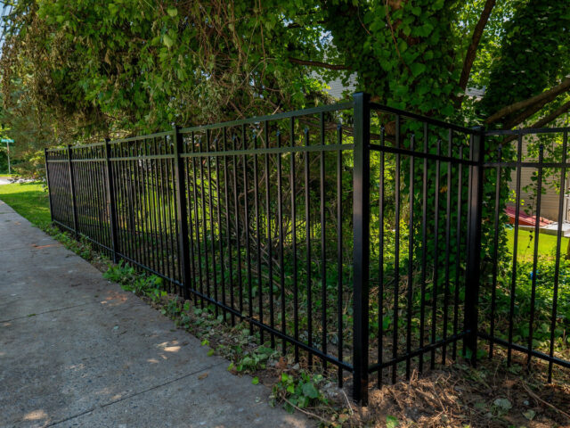 Mark Robinson Iron Fence – 1