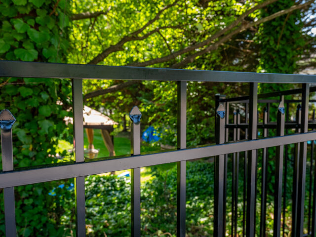 Mark Robinson Iron Fence – 2
