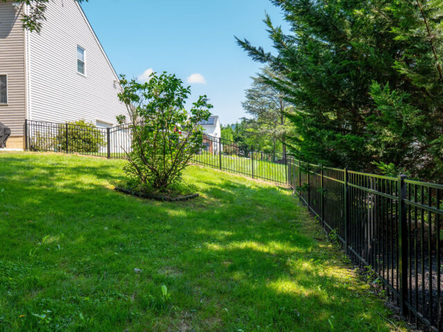 Mark Robinson Iron Fence – 3
