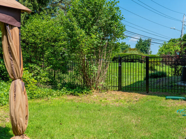 Mark Robinson Iron Fence – 4