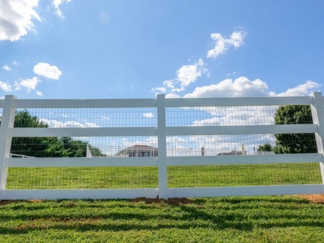 Vinyl Splitrail Chesapeake – 6