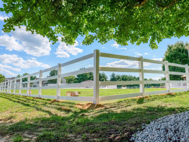 Vinyl Splitrail Chesapeake – 10