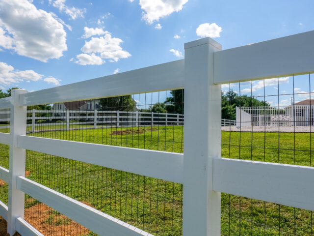 Vinyl Splitrail Chesapeake – 12