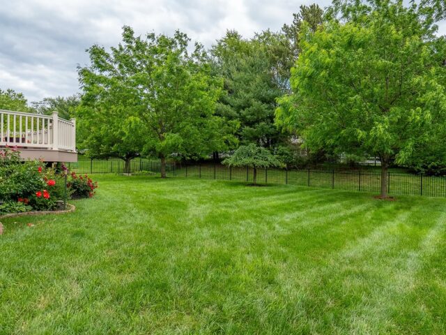 Black Aluminum Backyard Fence – 2