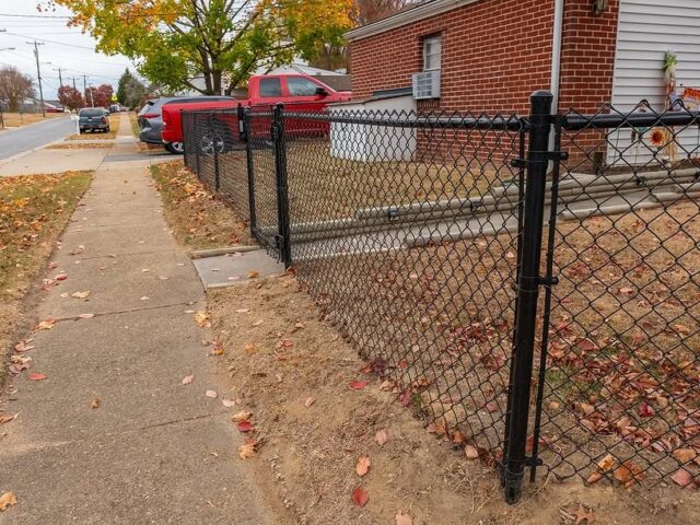 Black Chain Link Fence & Gate – 1