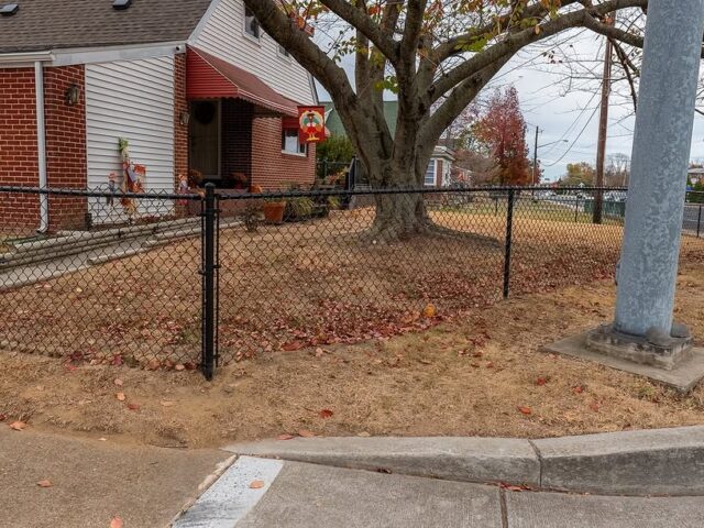 Black Chain Link Fence & Gate – 3