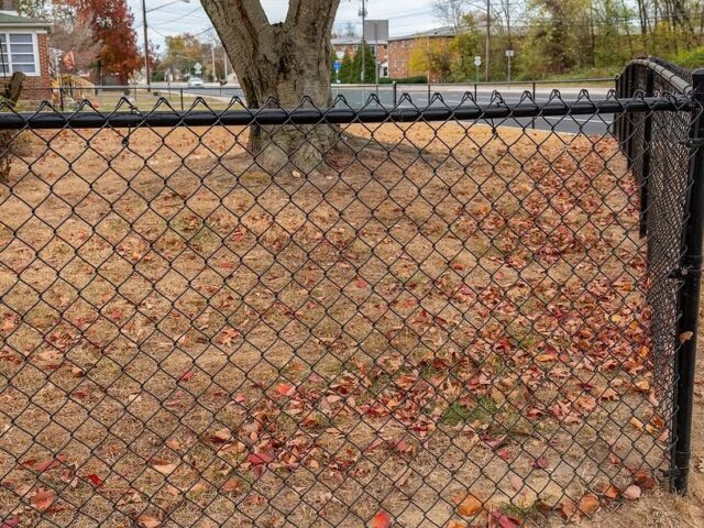 Black Chain Link Fence & Gate – 4