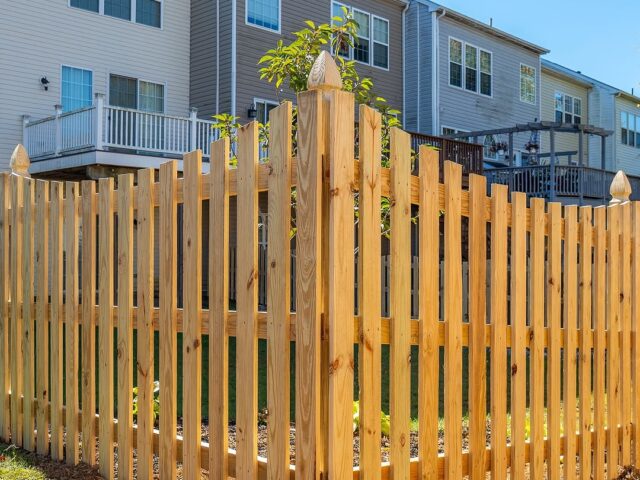 Cedar Picket Fence
