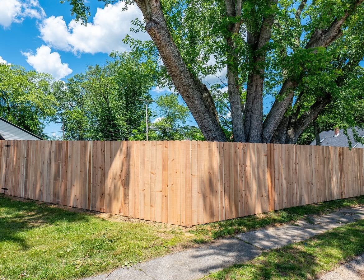 Property line view of cedar privacy fence in Delaware