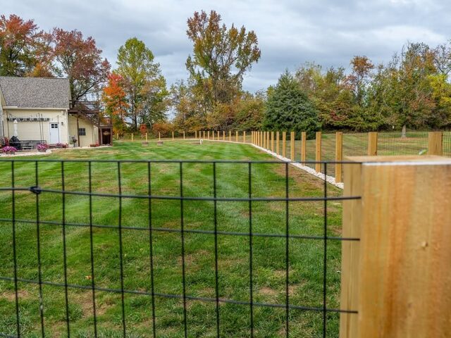 Custom Wire Fence Townsend – 4