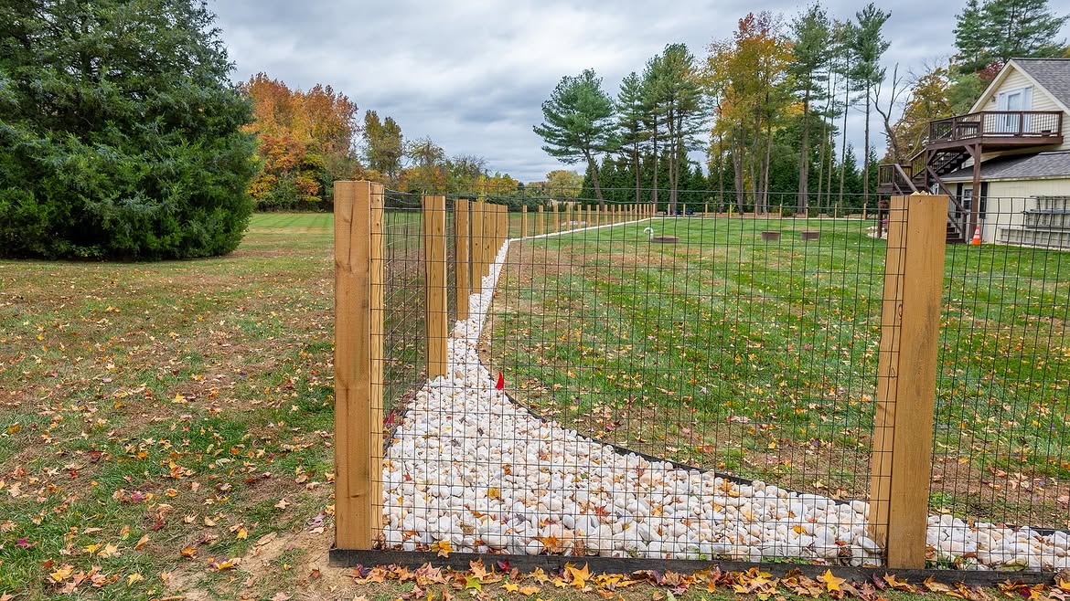 Property line view of custom wire fence on cedar posts in Townsend, DE